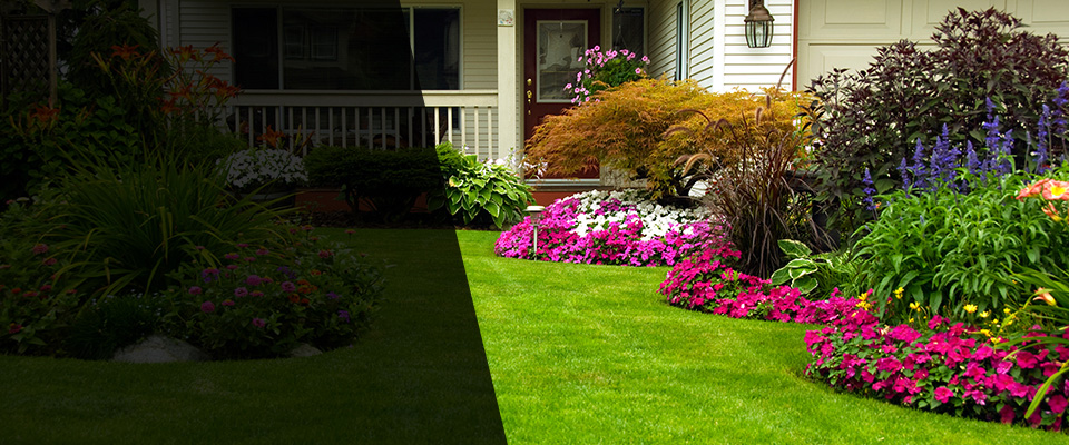 Fallon Landscapers