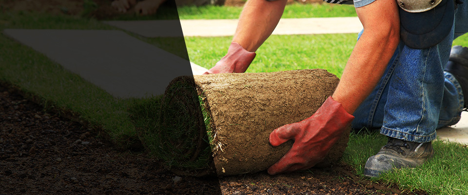 Fallon Landscapers